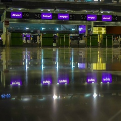 Наталя Драгущак, Львов