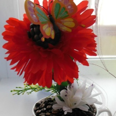 Анна Μакарова, 19.06.1986, Киров