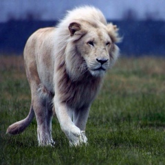 Ерхан Куанышев, 24.09.1998, Атырау