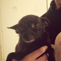 Андрей Дронов, 04.03.1988, Москва