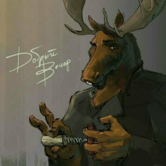 Дмитрий Мулюха, Санкт-Петербург