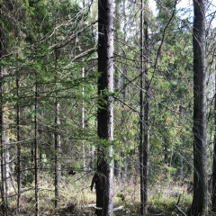 Павел Павел, 14.05, Санкт-Петербург