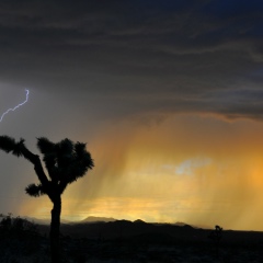 Влодко Каплун, 14.06.1991, Львов