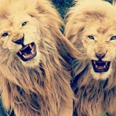 Адам Демальханов, 30.09.1996