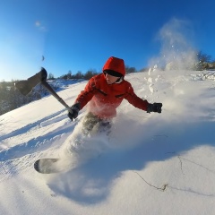 Игорь Гнедков, Москва
