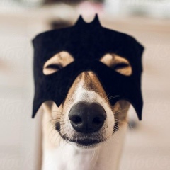 Жанна Шпакова, 04.06, Хмельницкий