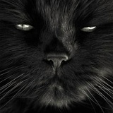 Екатерина Бутько, Минск