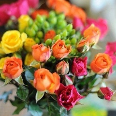 Маша Романова, 17.08, Киев