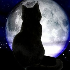 Леночка Горошко, 19.07, Санкт-Петербург