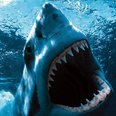 Арман Утеуов, Уральск