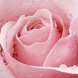 Дина Солотенкова, 05.11, Тараз