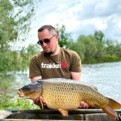 Денис Шуляк, Донецк