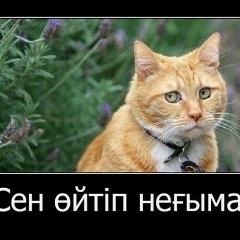 Алтынай Назарова, 16.09.1997, Чимбай