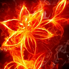 Юлия Решетникова, 05.05.1984, Лахденпохья