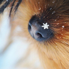 Тамара Звягина, 24.11, Москва