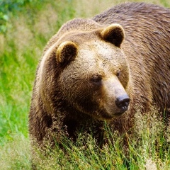 Евгений Землянский, 29.08, Луга