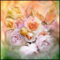 Ксения-Мяумяу Жилякова, 10.02.1986, Алматы