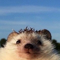 Шолпан Марал, 15.11, Алматы