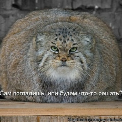 Олег Лысенко, 30.03.1987, Самара