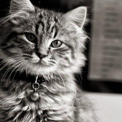 Юля Ганцева, 17.07, Москва