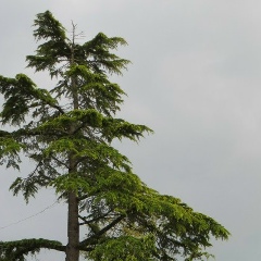 Павел Провалов, 26.10, Portmarnock