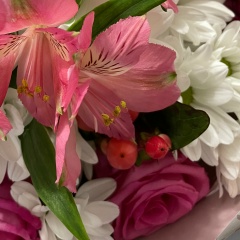 Кристина Алексана, Нижний Новгород