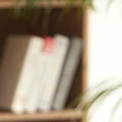 Игорь Лепёшкин, 13.04.1989, Донецк