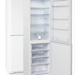 Артур Холодов, Кушнаренково