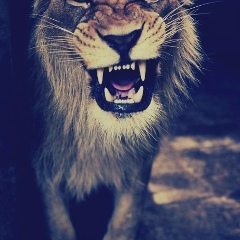 Emrecan Aslan, 19.11.1989, Athens