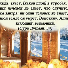 Муса Борзиев, Москва