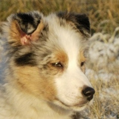 Алексей Волков, 25.02, Минск