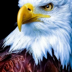 Екатерина Орлова, Москва