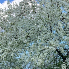 Юлия Фаст, Екатеринбург