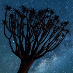 Moe Kyaw, 07.07.1993