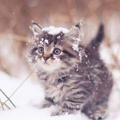 Евгения Александровна, 28.11.1989, Сумы