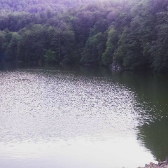 Meri Gyulnazaryan, 08.12.2002, Ереван