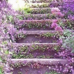 Екатерина Антонова, 07.12.2006, Калининград