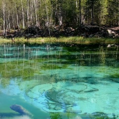 Елена Соловьёва, 21.05, Москва
