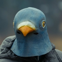 Алексей Шеин, 12.04.1984, Москва