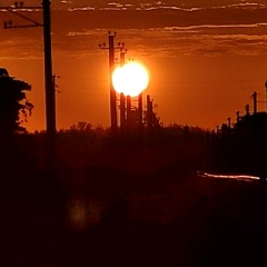 Яраги Хамзатов, 17.08, Киев