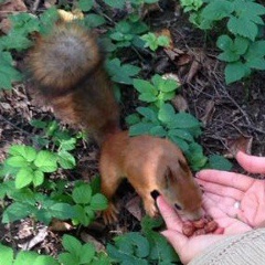 Арина Михайлова, 24.08, Москва