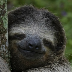 Денис Мамедов, 11.07, Киев