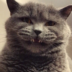 Владимир Владимиров, 09.07.1987