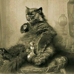 Александр Лепишко, 01.10, Сумы