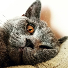 Max Luppov, 03.03, Киев