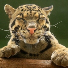 Вика Данченко, 20.08, Киев