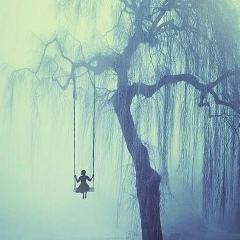 Амина Солтоханова, 16.12.2001