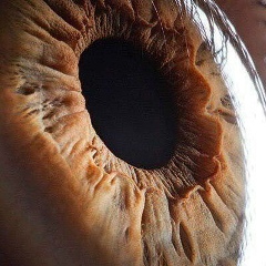 Геннадий Вальков, 24.03, Чертково