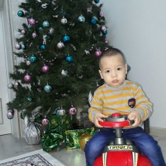 Мейіржан Карагулов, Кульсары