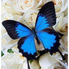 Екатерина Логинова, 25.05, Оренбург